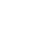 Electric Vehicle (EV)
